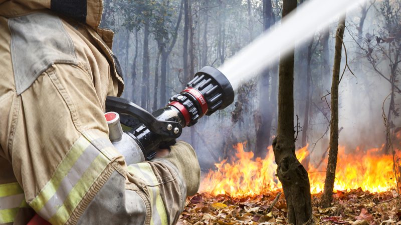 Firefighters help battle a wildfire